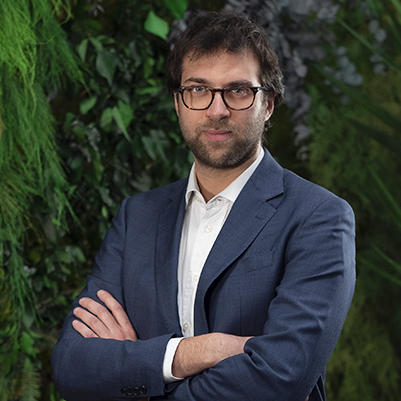 Marco Ferrante  - Senior Consultant